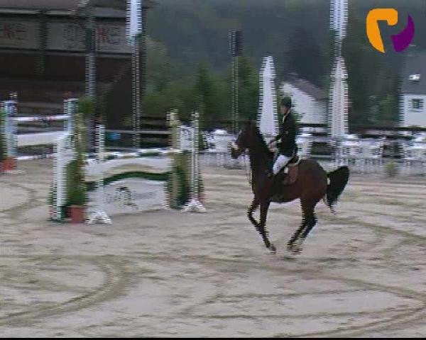 Vosswinkeler Reitertage 2012