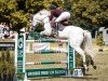 jumper Charly Cash (Oldenburg show jumper, 2009, from Califax)