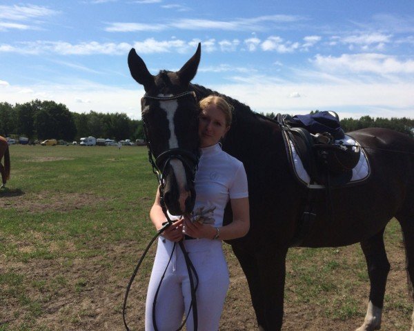 dressage horse Penny Mc Laine (Brandenburg, 2001, from Paradiesvogel)