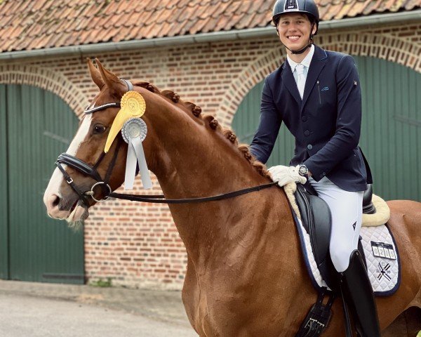 dressage horse Fia Felicity (Westphalian, 2019, from Fürst Samarant)