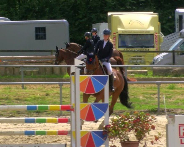 Reitturnier Coesfeld/Lette 2024