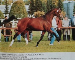 stallion Frederik (Hanoverian, 1990, from Forrest xx)