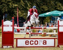 jumper Ciaco Sky (German Sport Horse, 2015, from Ciacomini)