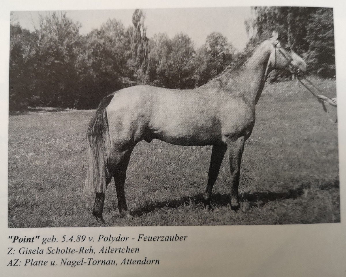 stallion Point (Rhinelander, 1989, from Polydor)