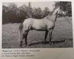 stallion Point (Rhinelander, 1989, from Polydor)