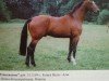 stallion Friesenstern (Hanoverian, 1987, from Wanderer)