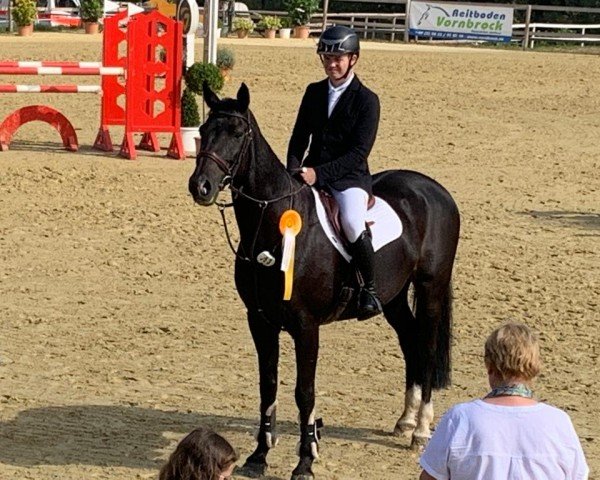 jumper Fluke of nature (German Sport Horse, 2008, from For Edition)