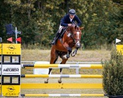 jumper Ontario H 3 (German Sport Horse, 2018, from Ogano Sitte)