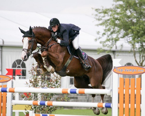 stallion Ogano Sitte (Belgium Sporthorse, 1998, from Darco)
