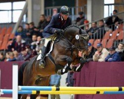 stallion Vulkato (German Sport Horse, 2011, from Vulkano FRH)