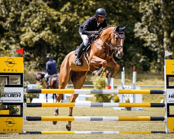 horse Balouramba PS (Oldenburg show jumper, 2018, from Baloubet du Rouet)