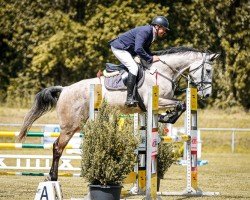 jumper Caribic 20 (German Sport Horse, 2018, from Carinue)