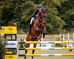 jumper Vestus K (German Sport Horse, 2018, from van Gogh)