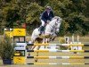 jumper Calista 71 (German Sport Horse, 2018, from Carinue)