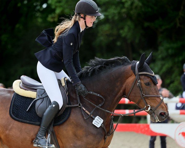 jumper Semishine (Swedish Warmblood, 2016, from Diamant de Semilly)