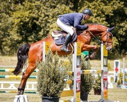 jumper El Baloubet 2 (German Sport Horse, 2019, from Emerald van 't Ruytershof)