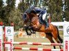 jumper Ajalin WH (German Sport Horse, 2018, from Inliner)