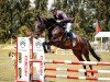 jumper Crostitzer 3 (German Sport Horse, 2018, from C'est la vie 151)