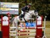 jumper Mirabell 205 (German Sport Horse, 2018, from Limbach 3)