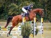 jumper Fenja K 3 (German Sport Horse, 2020, from Action Blue)