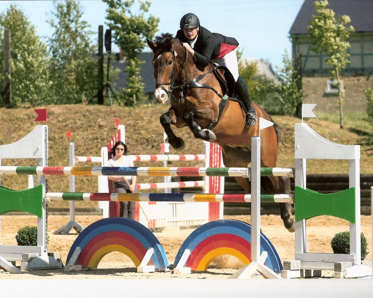 horse Champ 150 (Thuringia, 2000, from Casander)