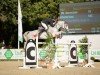 jumper Queensland 27 (Oldenburg show jumper, 2012, from Quality Time)