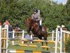 horse Volker 12 (German Riding Pony, 2011, from Valdez HS)