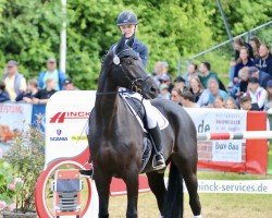 dressage horse Szandro (Oldenburg, 2016, from San Amour I)