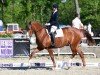 dressage horse Wie Nett C (Austrian Warmblood, 2015, from Bretton Woods)