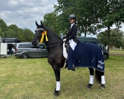 dressage horse Marrek 2 (Friese, 2009, from Mark E)