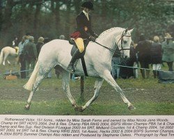 horse Rotherwood Victor (British Riding Pony, 1993, from Strinesdale Matador)