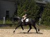 dressage horse Goldzauber (Trakehner, 2020, from Zauberreigen)