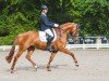 dressage horse Ellie Be Goode (Hanoverian, 2016, from Edward 28)