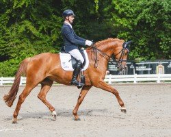 dressage horse Ellie Be Goode (Hanoverian, 2016, from Edward 28)