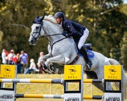 jumper Agento vom Neumühler Hof (German Sport Horse, 2010, from Acorado II)