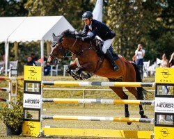 jumper Carli 11 (Hanoverian, 2012, from Carlucci 13)