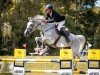 jumper For Germany (German Sport Horse, 2015, from For Pleasure)