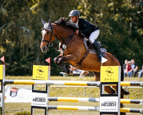 jumper Pearl Keeps ZL (Hanoverian, 2015, from Plot Blue)