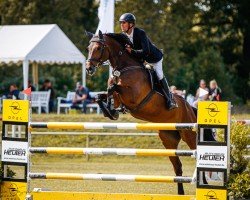 jumper Lassé S (German Sport Horse, 2016, from Last Man Standing)