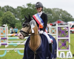 dressage horse Maddox (German Riding Pony, 2010, from The Braes My Mobility)