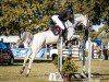 jumper Sam 1110 (Oldenburg show jumper, 2012, from Stakkatol)