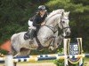 jumper D'Incanto (Swiss Warmblood, 2012, from Thorgal de Kezeg)