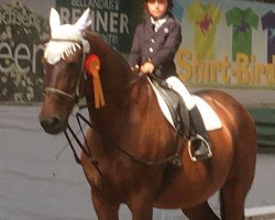 Pferd Adonis 274 (Zangersheide Reitpferd, 1999, von Ahorn Z)