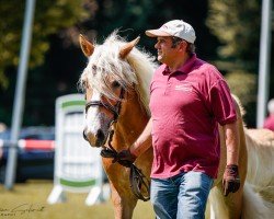 Zuchtstute Galina (Haflinger, 2016, von Armando)