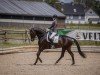 dressage horse Vainqueurs Rose Noire (Westphalian, 2017, from Vainqueur)