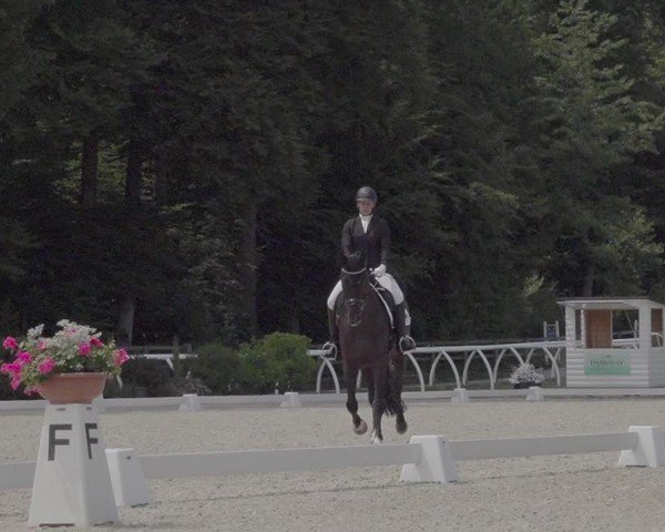 Reitturnier Grüningen 2024