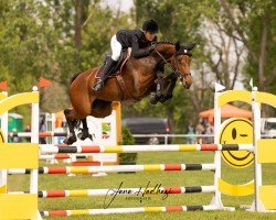 jumper Liva Rebell (Westphalian, 2015, from Pikeur Lord Fauntleroy)