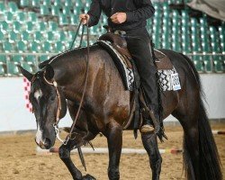 horse Zippos Dark Secret (Quarter Horse, 2015)