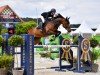 jumper Copacabana M (German Sport Horse, 2014, from Comme il Faut)