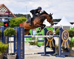 jumper Copacabana M (German Sport Horse, 2014, from Comme il Faut)